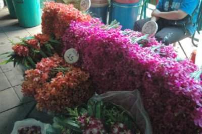 COMERCIO - FLORES (11)
